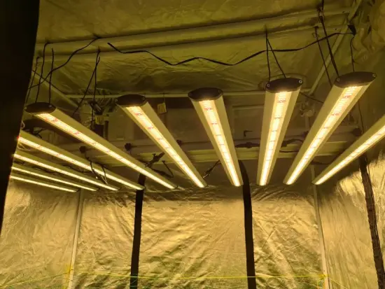 EU US Stock 660nm Bar Grow Light