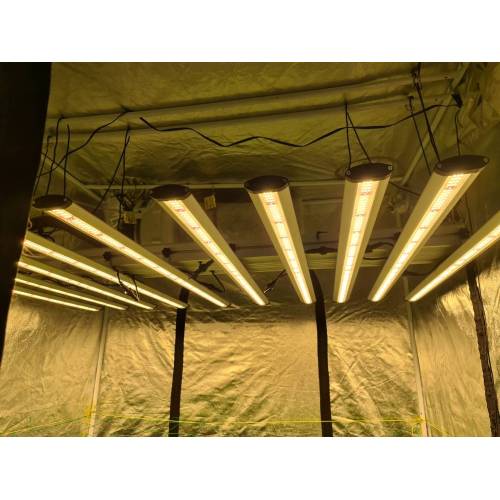 2022 Professional Fluence Led Lighting Grow Light Strips