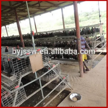 (2016 Fast delivery promotions )Egg chicken house design for layers