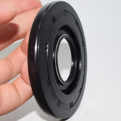 Rotary Shaft Oil Seal Factory: OEM & ODM Servo Motor Oil Seal BE6657F NBR Material