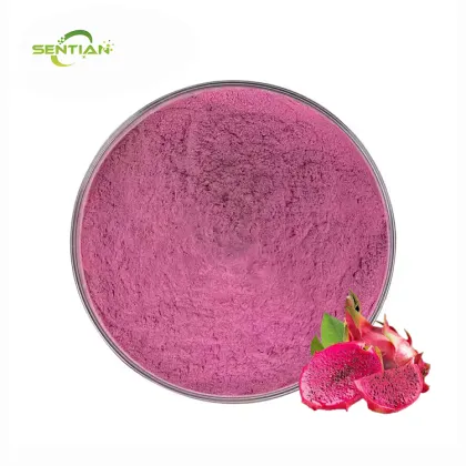 High Quality Dragon Fruit Powder for Dietary Use