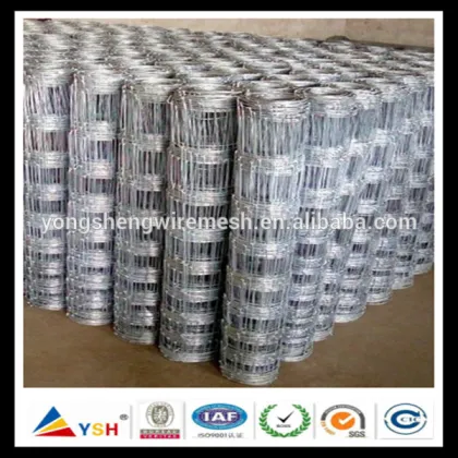 Galvanized Animal Fence/Field Fence (Anping Yongsheng)