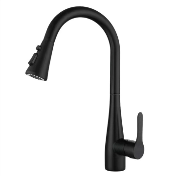 Modern Black Kitchen Faucet with Contemporary Design Tap for Luxury Interiors
