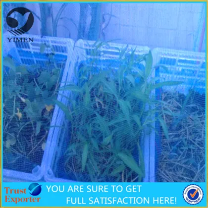 Nylon insect nets/Polyethylene insect nets/Plastic insect nets