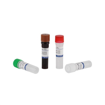 Echtzeit -PCR -Kit für Plasmodium