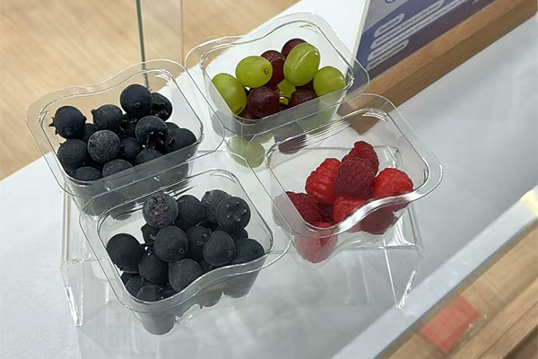 Sequoia Enterprise Ltd at Fruit Logistica Berlin 2025 Innovating Sustainable Fresh Produce Packaging! ✨ Sequoia Enterprise Ltd at Fruit Logistica Berlin 2025 Innovating Sustainable Fresh Produce Packaging! ✨
