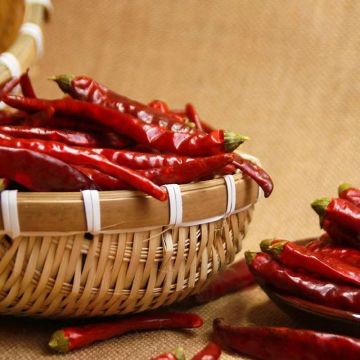 Κορυφαία αποξηραμένη χονδρική τσίλι Shizhu Chili Food καρύκευμα