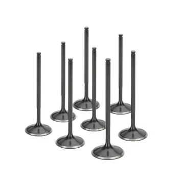 1011A086 Intake Valve for Engine