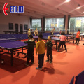 PVC table tennis floor mat with ITTF