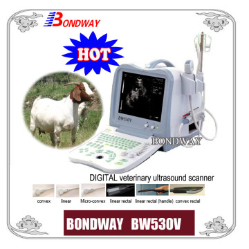 Digital Portable Vet Ultrasound Scanner for Equine, Bovine, Swine, and Other Small Animal Scanning
