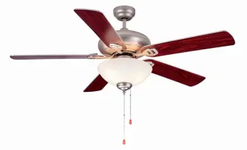 Direct  Supply Household Ceiling Fan