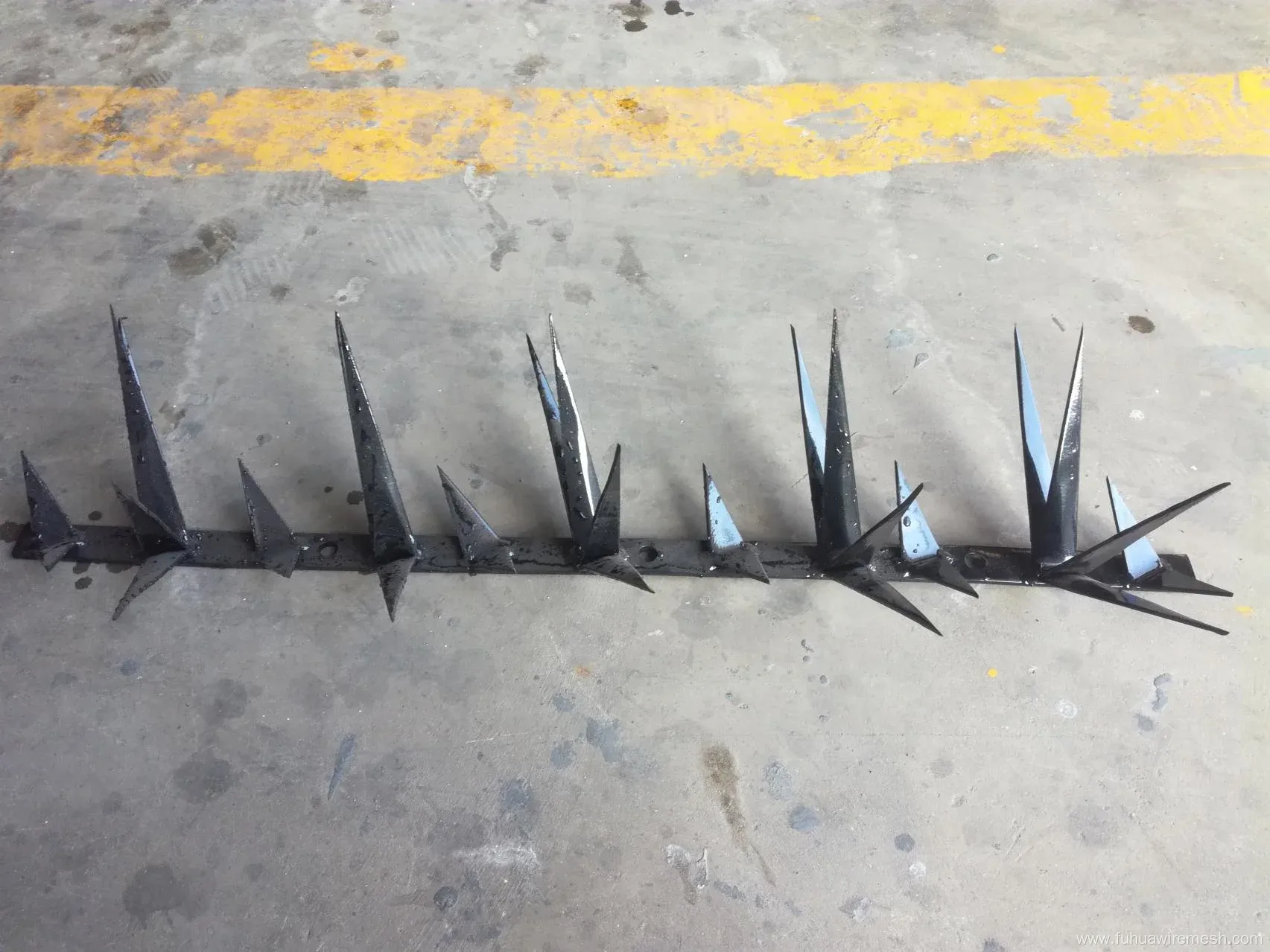 Hot-DIP Galvanized/PVC Coating Security wall Spikes