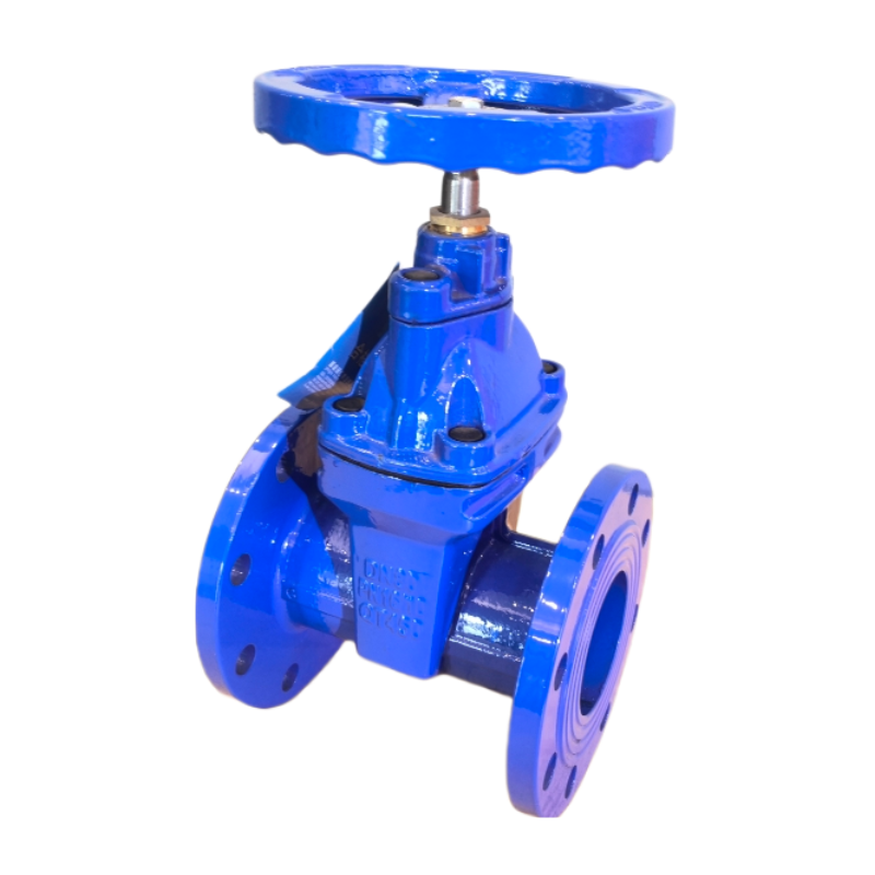 Flange soft seal gate valve rising stem