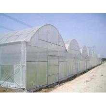 Anti inect fly netting