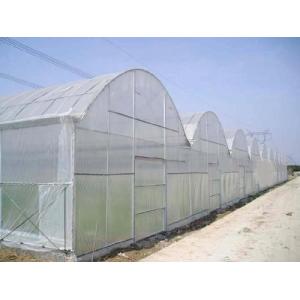 Anti inect fly netting