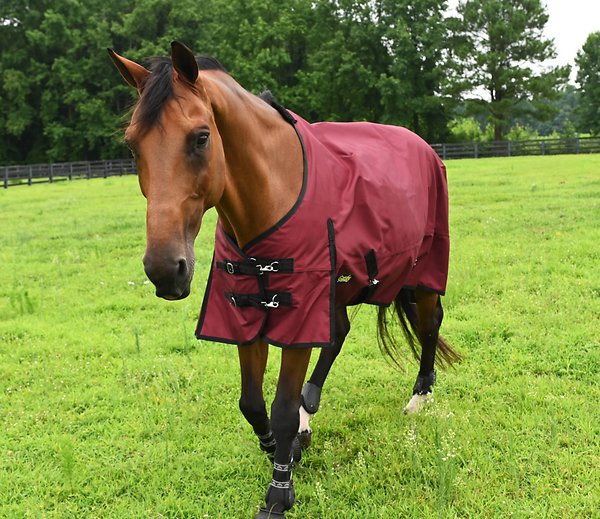 1200D Waterproof Ripstop Turnout Horse Sheet