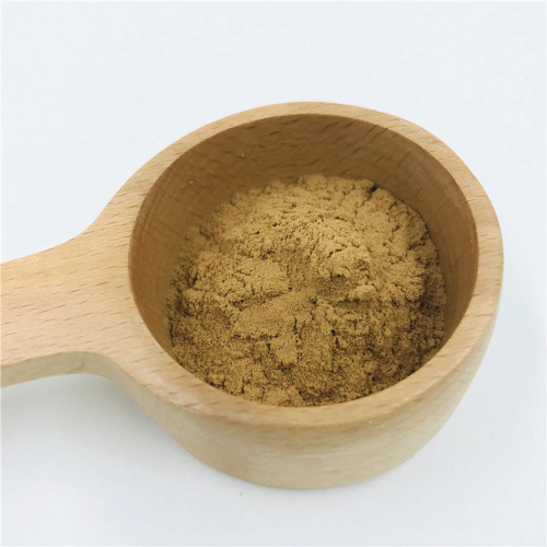 High-Quality Bletilla striata Extract Powder