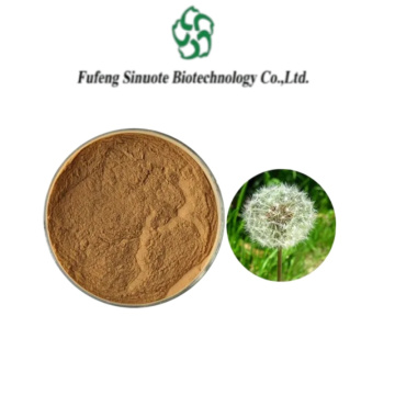 Natural Dandelion Extract for Detox and Immune Support