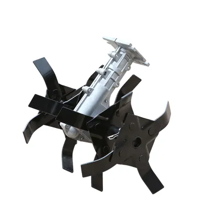 Cultivate Head: Your Path to Personal Growth