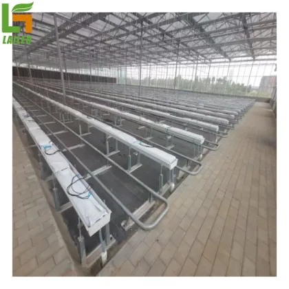 Gutter Support Hydroponics Tomato Greenhouse for Sale