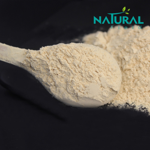 Healthcare Antioxidant Raw Material Medicine grade UV 80% ginseng root extract powder Supplier