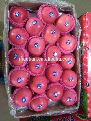 Yantai Fresh Red Fuji Apple
