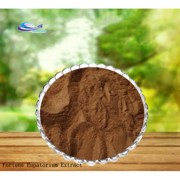 Rhizoma Arisaematis Extract P.E.10:1 Powder