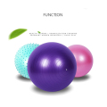 Stability Training Fitness Exercise Balance Fitness Yoga Ball With Custom Logo