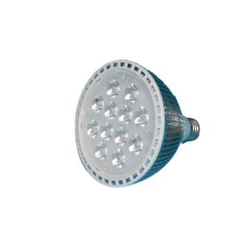LED PAR38 12W bianco caldo