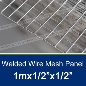 1m Bwg20 Galvanized Welded Wire Mesh 1/2"x1/2"