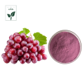 100% Natural Grape Juice Powder