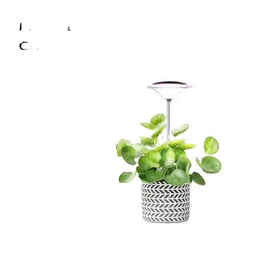 Hydroponic Grow: Plant Tissue Culture with Indoor Grow Lights