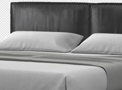 Genuine leather sofa bed