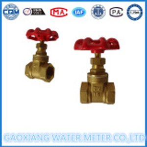 คุณภาพวาล์วประตูทองเหลืองคุณภาพสำหรับ WaterMeter