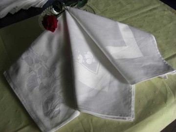 Napkin