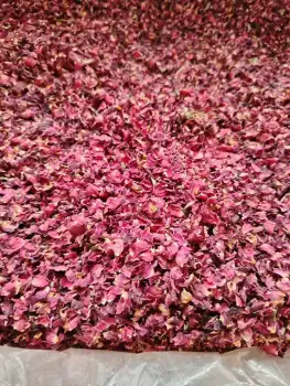 Edible Grade Natural Dried Rose Petals