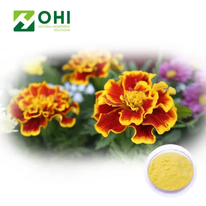 Calendula extract lutein 5%-90%