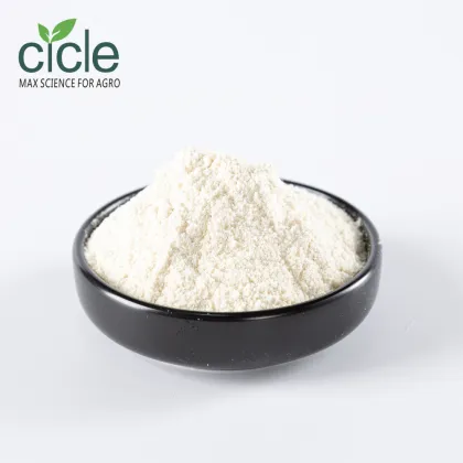 1-Naphthylacetamide NAD Key Auxin Derivative in Biochemistry