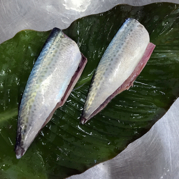 Pacific Frozen Mackerel HGT dengan kualiti terbaik