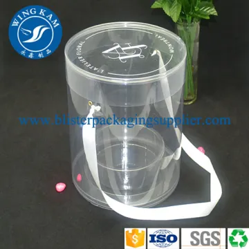 Curl Edges Cylinder Transparent Big Plastic Cylinder