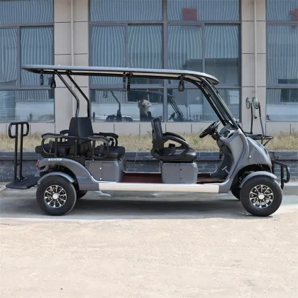 Six Seater Electric Car
