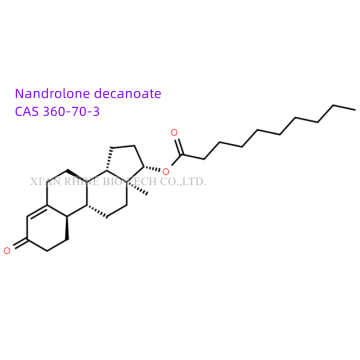 Steroidi Polvere cruda Nandrolone Decanoate Deca