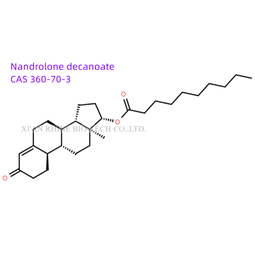 Stéroïdes Poudre crue Nandrolone Decanoate Deca