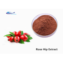 YXchuang Sell Natural Rose Hip Extract