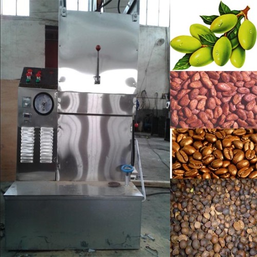 Oil hydraulic press machinery castor oil extraction