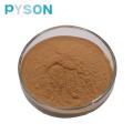 shiitake extract powder 100% natural herb extract