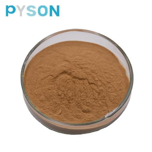 shiitake extract powder 100% natural herb extract