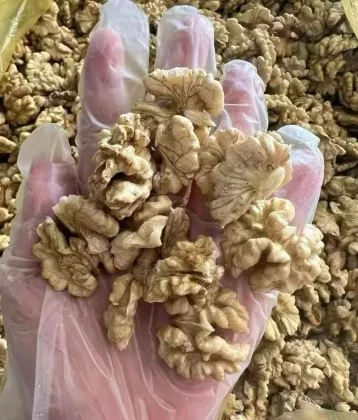 Raw Natural Walnut Kernels