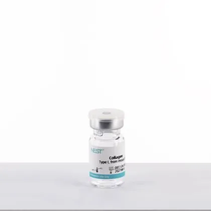 Collagen, Type I