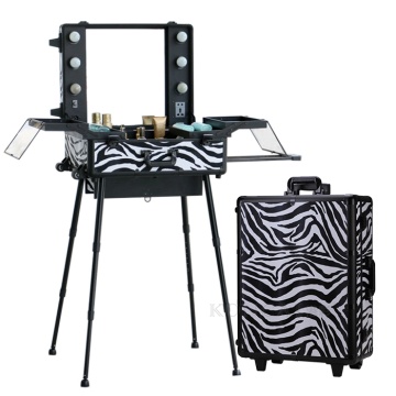 High Quality Zebra Makeup Station with Light